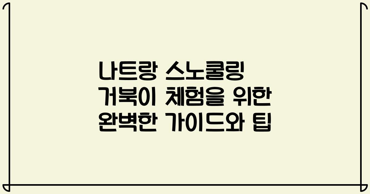 나트랑 스노쿨링 거북이 체험을 위한 완벽한 가이드와 팁