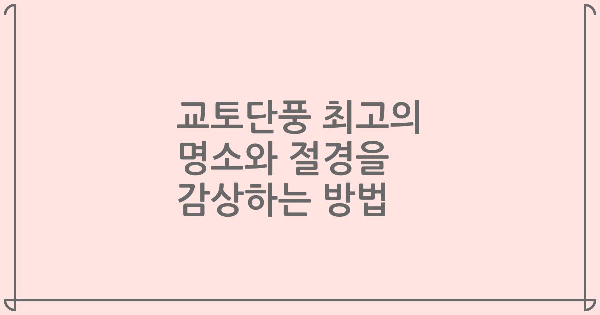 교토단풍 최고의 명소와 절경을 감상하는 방법