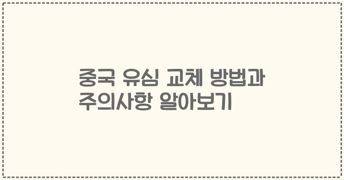 중국 유심 교체 방법과 주의사항 알아보기